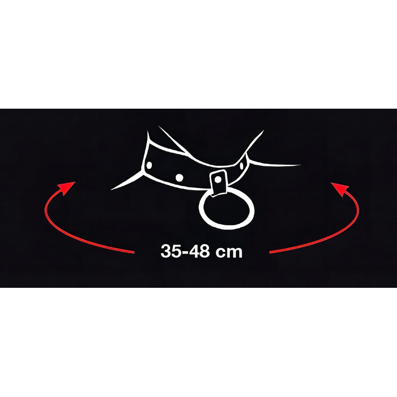 Bad Kitty - szíves nyakörv és fém póráz (fekete) 117179 termék bemutató kép