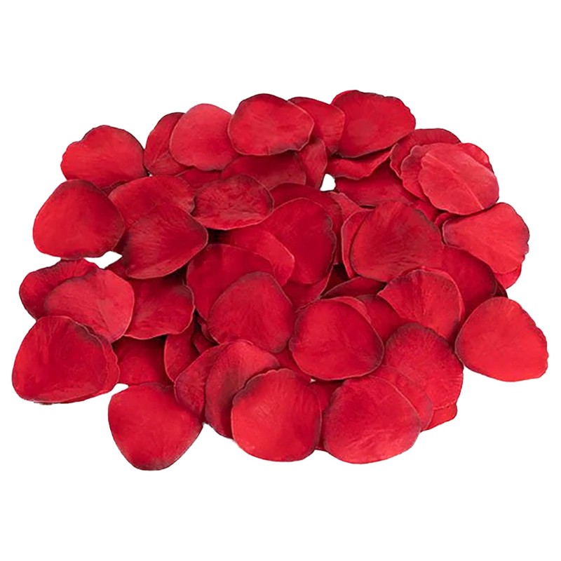 Dreamtoys Amour - bugyi vibrátor szett (piros) 139672 termék bemutató kép